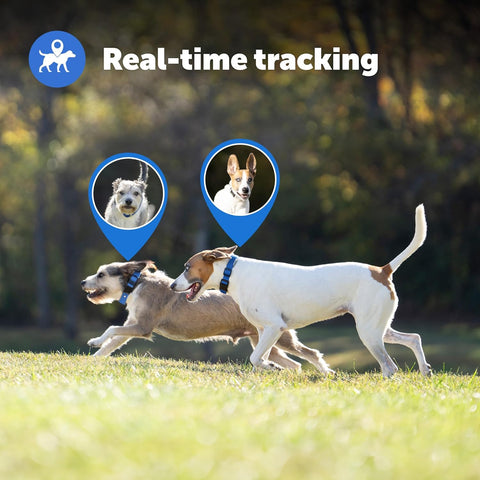 PetSafe Guardian GPS + Tracking Dog Fence Collar, advanced pet collar with GPS tracking and wireless containment system