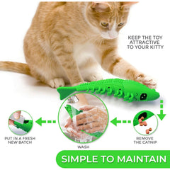 Pet Cat Toothbrush Toy, dual-purpose toy for dental hygiene and play, designed to clean cats' teeth while they play