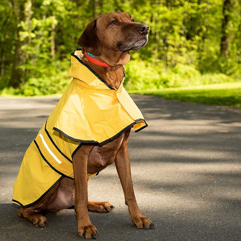 Rainy Day Dog Slicker, waterproof dog raincoat with adjustable straps for protection against rain and wet weather